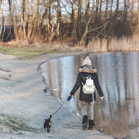 Dom wakacyjny Poseby - Strandnah & Im Gruenen Mit Kamin Westerholz