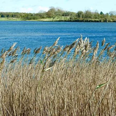 Poseby - Strandnah & Im Gruenen Mit Kamin Dom wakacyjny